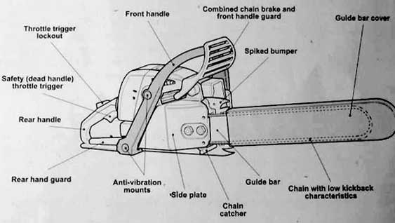 Chainsaw safety guide
